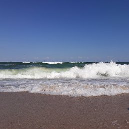 ��������, �������, 23 ����