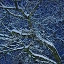���� �����, ����������� - ��������� 29 ������ 2019 � ������ ��������