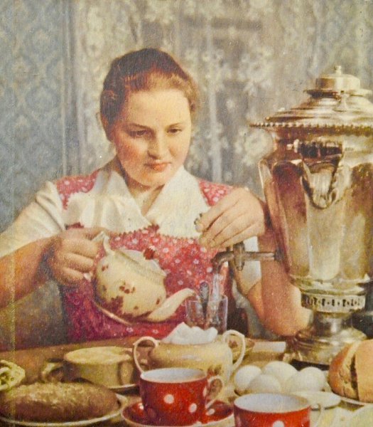 Советские книги по домоводству. Старая книга по домоводству. Про домоводство. Книга домоводство. Книга домоводство 1957.