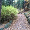  Last, , 62  -  23  2018