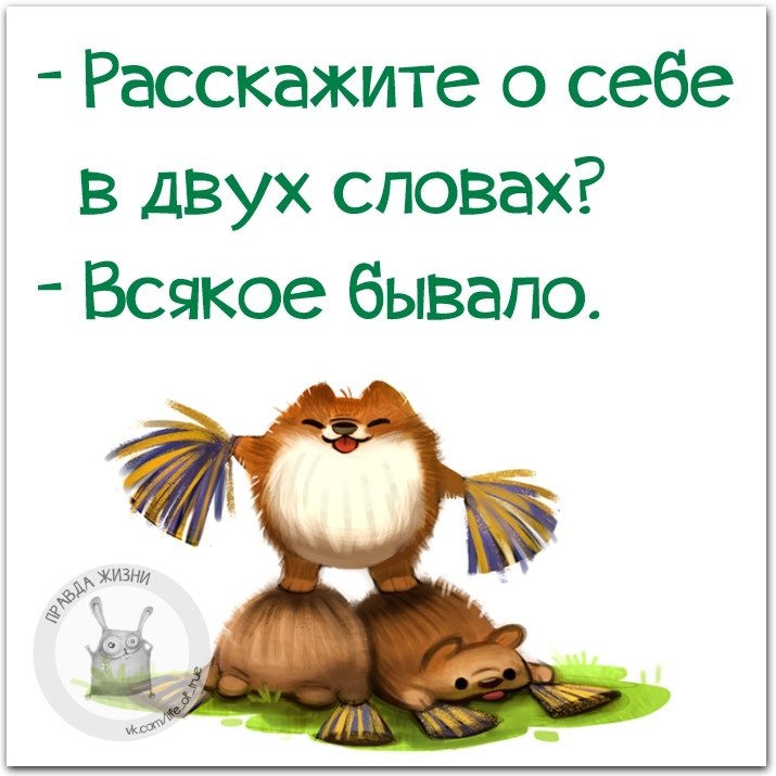 Всякое бывало всякие бывали. Всякое бывало. Расскажи о себе в двух словах всякое бывало. Всякое бывало картинки. Опишите себя в двух словах всякое бывало.