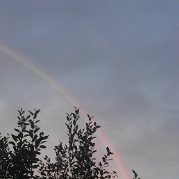 N/n, ������������, 53 ����