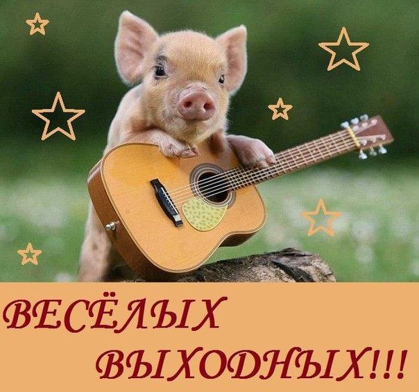 ***Victoria Viktorovna*** - 2  2018  15:51