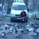 ���� ���������, �����������, 58 ��� - ��������� 1 ������ 2019 � ������ ���� ����������