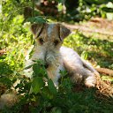 ���� ����, �������, 59 ��� - ��������� 16 ������ 2018 � ������ ������ ��������