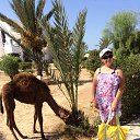 ���� �������, ������������� - ��������� 15 ������� 2018 � ������ ������� 2018, �����, ������