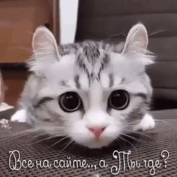 ���� ����, �����-���������, 75 ��� - ��������� 8 ������� 2018