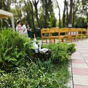 ���� �������, ������, 40 ��� - ��������� 4 �������� 2018 � ������ ���� ����