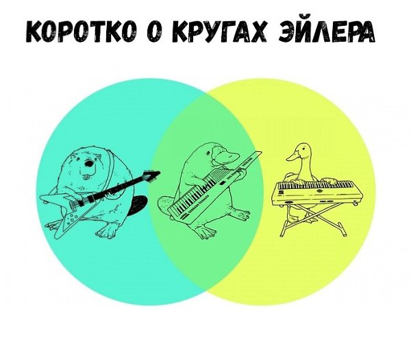    :D - 5  2018  16:36