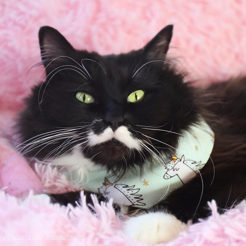   :3