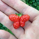 ���� ������, ������������, 74 ���� - ��������� 19 ����� 2019 � ������ ������ ��������