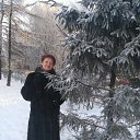 ���� ������ �����������, ���������� - ��������� 8 ������� 2019 � ������ ���� ����������