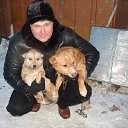 ���� ���������, ��������, 51 ��� - ��������� 3 ������� 2018 � ������ ���� ����������