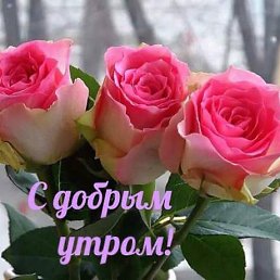 ���� ��������, �����, 39 ��� - ��������� 1 ������� 2018