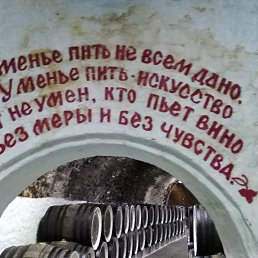 �, ��������, 65 ���