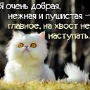 ���� ������, ���������, 47 ��� - ��������� 22 ������ 2018 � ������ ���� ����������