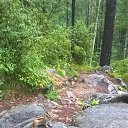 ���� ����, �������, 106 ��� - ��������� 18 ������ 2018 � ������ ���� ����������