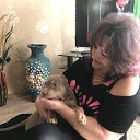 ������� ���� �� ������� ���� ����������