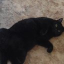 ���� �������, ����������� - ��������� 13 �������� 2018 � ������ ���� ����������