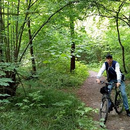 ������ �����