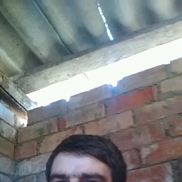 ��, �����������, 39 ���