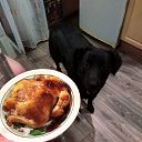 ���� �����, �����������, 58 ��� - ��������� 1 ������� 2019 � ������ ���� ����������