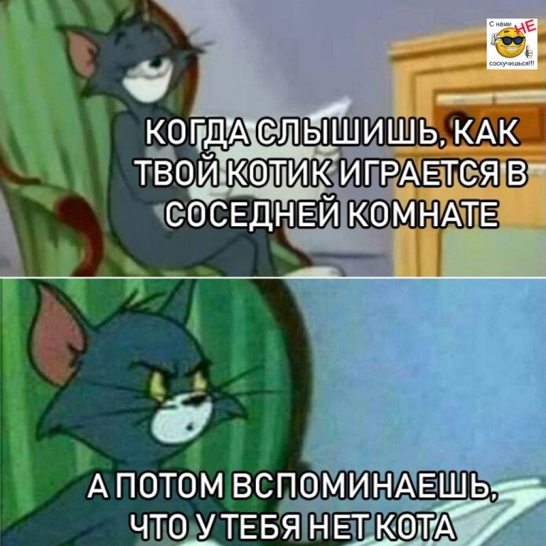 А ты слышишь что то. Когда слышишь. Кот Мем а потом. Когда вспомнил. Когда ночью вспомнил.