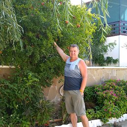 ������, ������, 59 ���