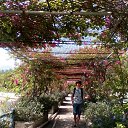 ���� ��������, ���������, 37 ��� - ��������� 23 ������� 2018 � ������ ���� ����������