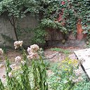  ,  -  28  2018   -2018