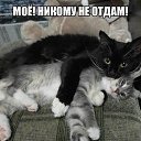 ������� � ��� ��.))) �� ������� ���� ����������