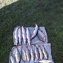 ���� ��������, ��������, 82 ���� - ��������� 24 ������� 2019 � ������ ���� ����������