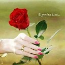 ���� L, ������� - ��������� 28 ������ 2019 � ������ ������ ��������