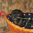 ���� ������, ���������, 60 ��� - ��������� 5 ����� 2019