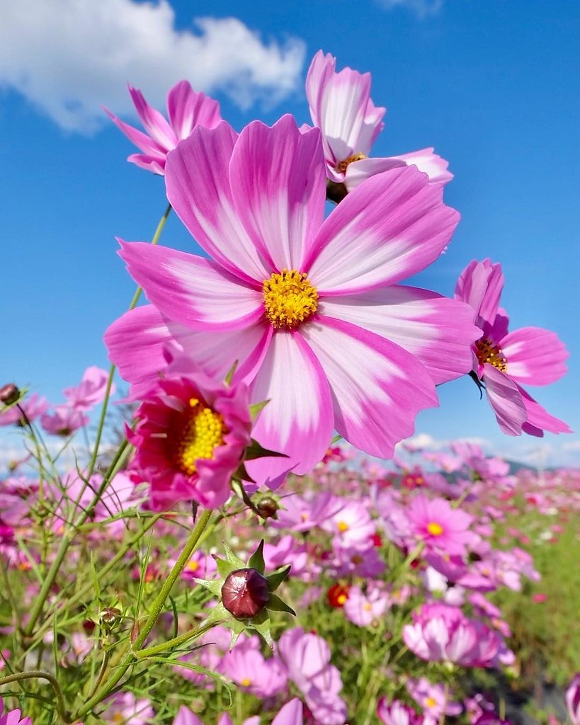  ! - 16  2019  16:16 - 5