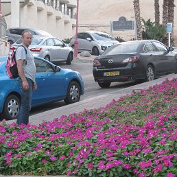 ������, ����, 54 ����