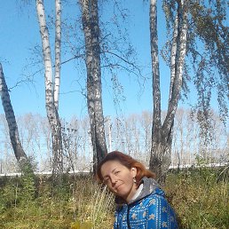 �����, �����������, 41 ���