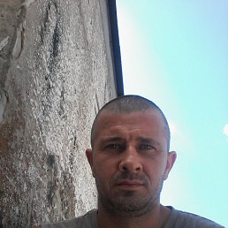 ����, ��������