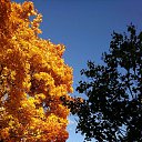 ���� �����_, ������, 50 ��� - ��������� 20 ������� 2018 � ������ ������ ��������