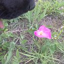 ���� ,,�,,, ������ - ��������� 3 ������ 2019 � ������ ���� ����������