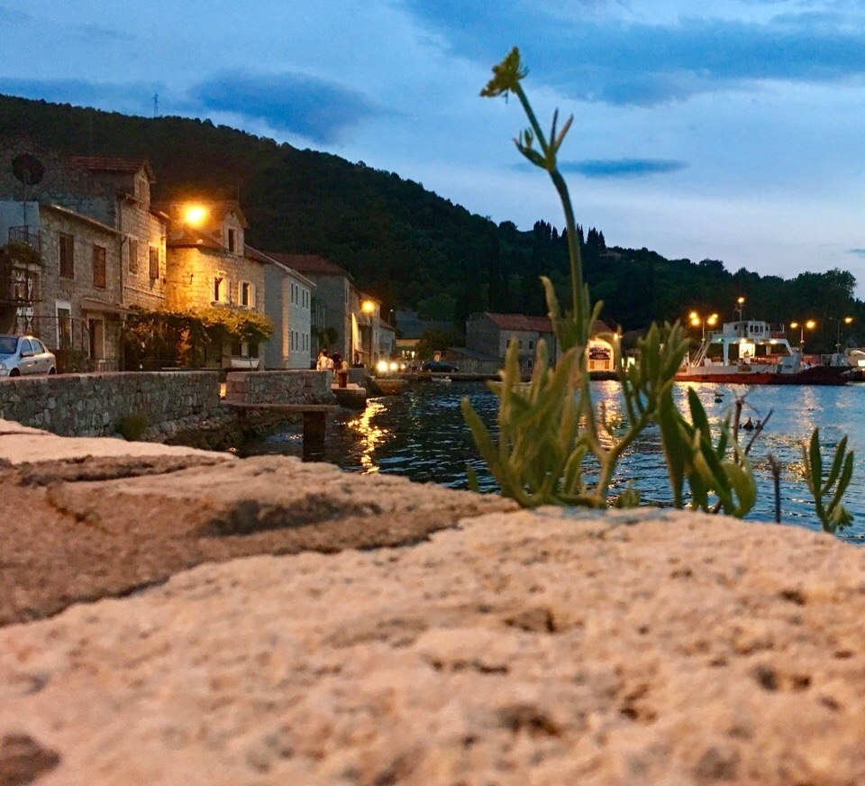 Montenegro/.  !  :   - 9