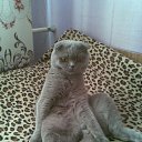���� Olya, ���������� - ��������� 23 ������� 2019 � ������ ���� ����������