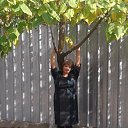 ���� �������, ������, 71 ��� - ��������� 11 ������� 2018 � ������ ���� ����������