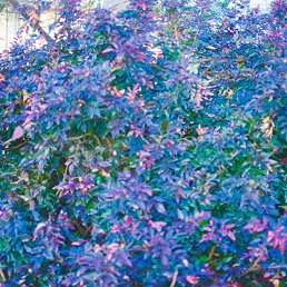 ��������, �������, 28 ���