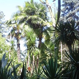 ���� �����, ������-��-���� - ��������� 11 �������� 2018