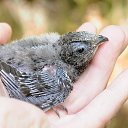 ���� ����, �������, 59 ��� - ��������� 25 ������ 2018 � ������ ������ ��������