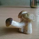  Din, , 66  -  9  2018    