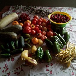 ������, �����