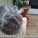 ���� ������, ������������ - ��������� 27 ����� 2019 � ������ �*������ � �����*, ��������, �����, ���������, ��������.�