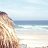 ���� Summer, ������ - ��������� 10 ������� 2018